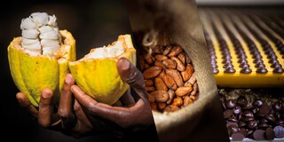 Traceable cocoa: METRO & CÉMOI for transparent, deforestation-free supply chains